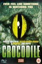 Crocodile