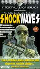 Shock Waves